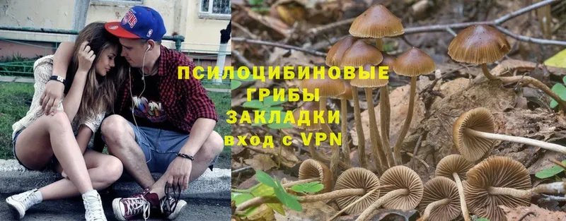 Псилоцибиновые грибы мухоморы  Жиздра 